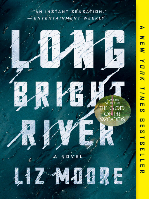 Title details for Long Bright River by Liz Moore - Wait list